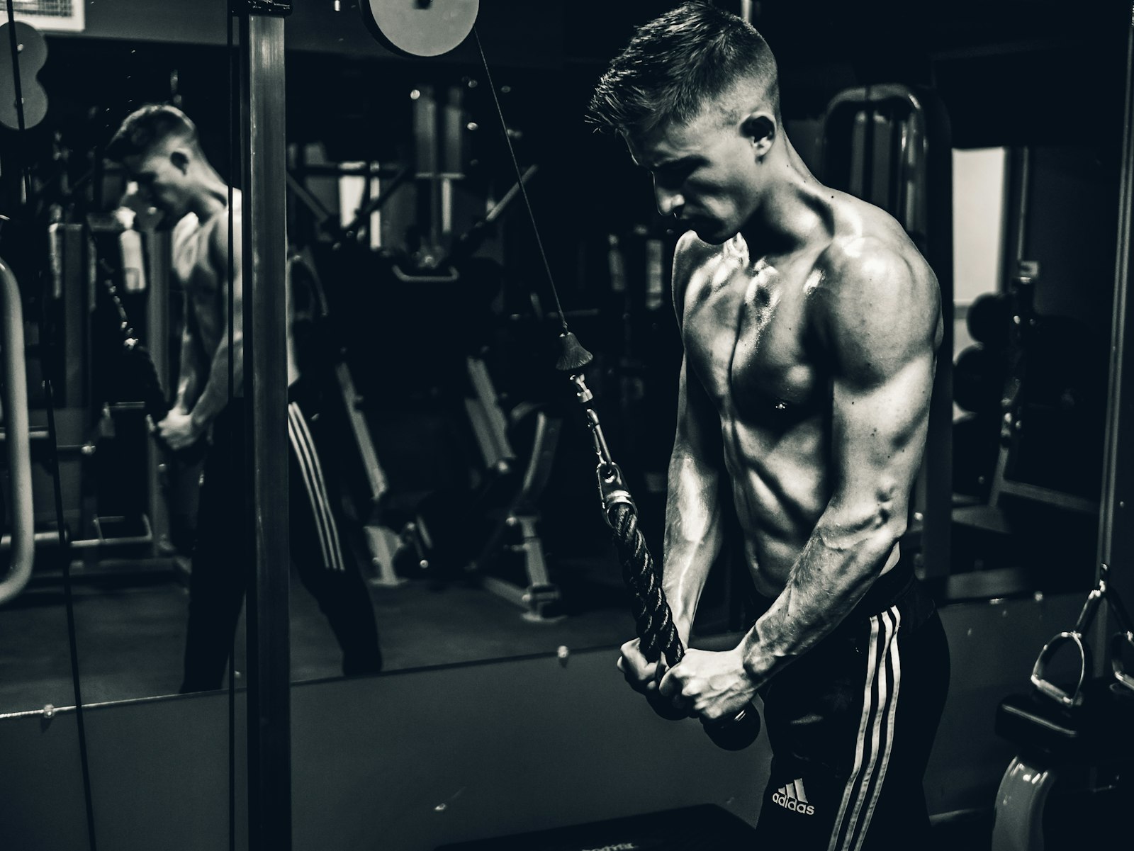 Bodybuilding — StrengthSync. Adaptive strength training.